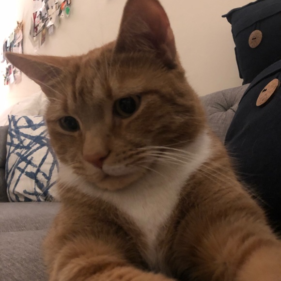 Meet your Posher, Sandrine - Picture 1 of 1